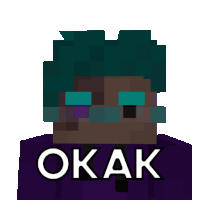 a minecraft character with a purple shirt that says okak on it
