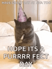 Hope Its A Perfect Day Cat GIF
