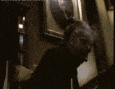Gremlins Stairlift GIF - Gremlins Stairlift Old Lady GIFs