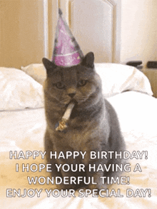 cute cat happy birthday pictures