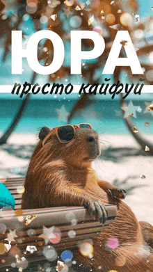 a capybara wearing sunglasses sits on a bench in front of a beach with the word jopa in white letters