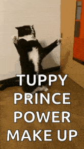 a black and white cat standing on its hind legs with the words tuppy prince power make up on the bottom