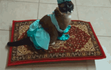 Magic Carpet GIF - Magic Carpet Cat GIFs