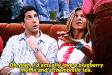 friends rachel green oh yeah id actually love a blueberry muffin chamomile tea blueberry muffin