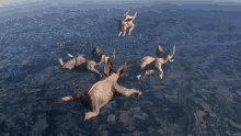 Skydiving Elephants GIF - Skydiving Elephants Funny Edit GIFs