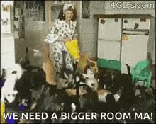 Cats Crazy GIF - Cats Crazy Lady GIFs