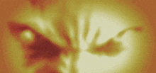 a close up of a person 's face with a yellow and red background .