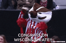 a mascot is wearing a red and white outfit and cheering in a crowd .