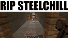 steelchill minecraft playing fight axe