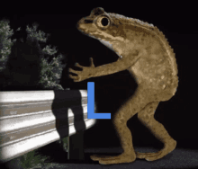 Loveland Frog GIF - Loveland Frog GIFs