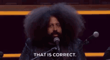 Facts GIF - That Is Correct Afro Reggie Watts GIFs