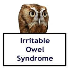 irritable owel syndrome ios bugger off 3d gifs artist owl