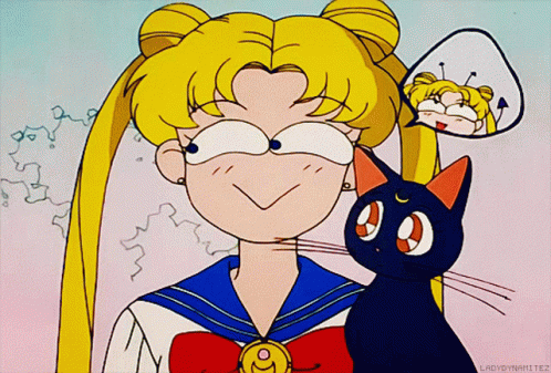 Sailor Moon Usagi Tsukino GIF - Sailor Moon Usagi Tsukino Luna GIFs