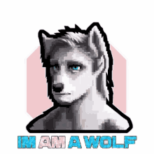 wolfcapital