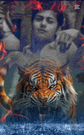 a picture of a tiger and a man with the letter m on it