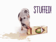 Im Full Stuffed GIF - Im Full Stuffed Stuffed Animal GIFs