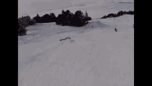 Arnaud Spark Ski GIF - Arnaud Spark Ski Fail GIFs