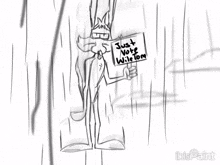Wile E Coyote Looney Tunes GIF