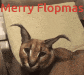 Flopp Floppa GIF - Flopp Floppa Christmas GIFs