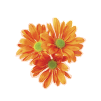 Orange Flowers Sticker - Orange Flowers Stickers