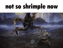 Shrimp Its As Shrimple As That GIF - Shrimp Its As Shrimple As That Not So Shrimple GIFs