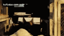 Dog In Streets.Gif GIF - Dog In Streets Dog Animal GIFs