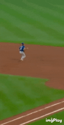 a man in a blue texas jersey is walking on a baseball field .