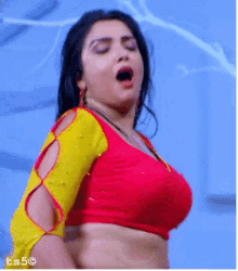 Toppul Belly Dance GIF
