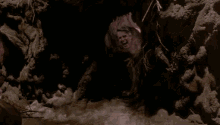 Gary Busey GIF - Gary Busey Cave GIFs