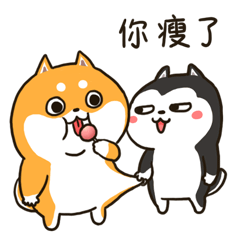 Husky And Shiba Sticker - Husky And Shiba Stickers