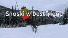 Snowski Best Friend GIF - Snowski Best Friend Winter Sports GIFs