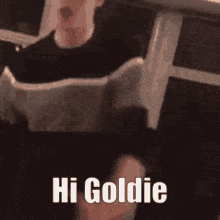 Goldie GIF - Goldie GIFs