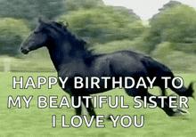 a black horse is running in a field with the words happy birthday to my beautiful sister i love you below it
