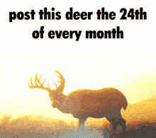 a deer standing in a field with the words post this deer the 24th of every month