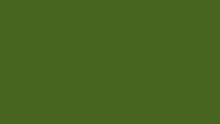 a green background with the word cross-chain in white