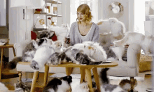Forever Alone GIF - Taylor Swift Cats Kittens GIFs