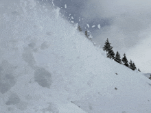 Ski GIF - Ski GIFs