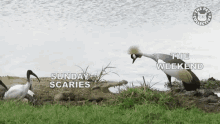 Sunday Scaries The Weekend GIF - Sunday Scaries The Weekend Scared GIFs