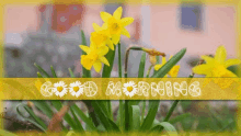 Good Morning Spring GIF - Good Morning Spring Flowers GIFs