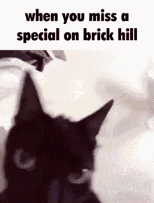 Brick Hill Shaking Cat GIF - Brick Hill Shaking Cat Black Cat GIFs