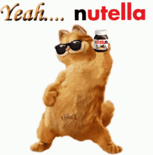 Nutella Yeah GIF - Nutella Yeah Garfield GIFs