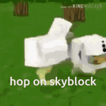 goofy chicken minecraft hop on skyblock redemption
