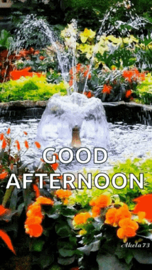 Good Afternoon Fountain GIF