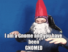 Obidiantime Gnome GIF - Obidiantime Gnome Obsi GIFs