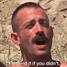 a man with a mustache is saying " i 'd mind it if you did n't "