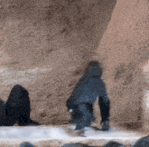 a person in a hooded jacket is standing in front of a rock wall