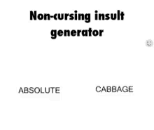 non cursing insult generator random words changing