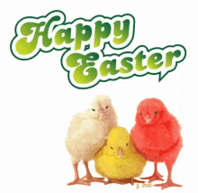 Chicks Colorful GIF - Chicks Colorful Happy Easter GIFs