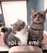 two cats looking up with the words spi and emi written below them