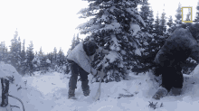 shoveling hazen audel primal survivor digging snow